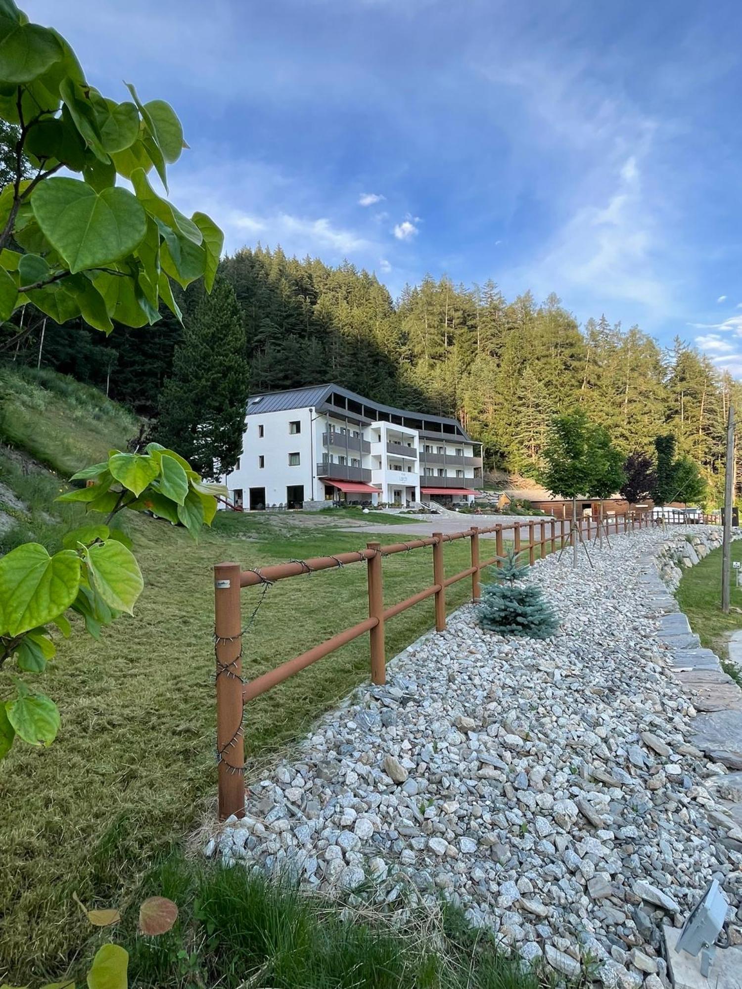 קאמפו די טרנס Hotel Larch מראה חיצוני תמונה