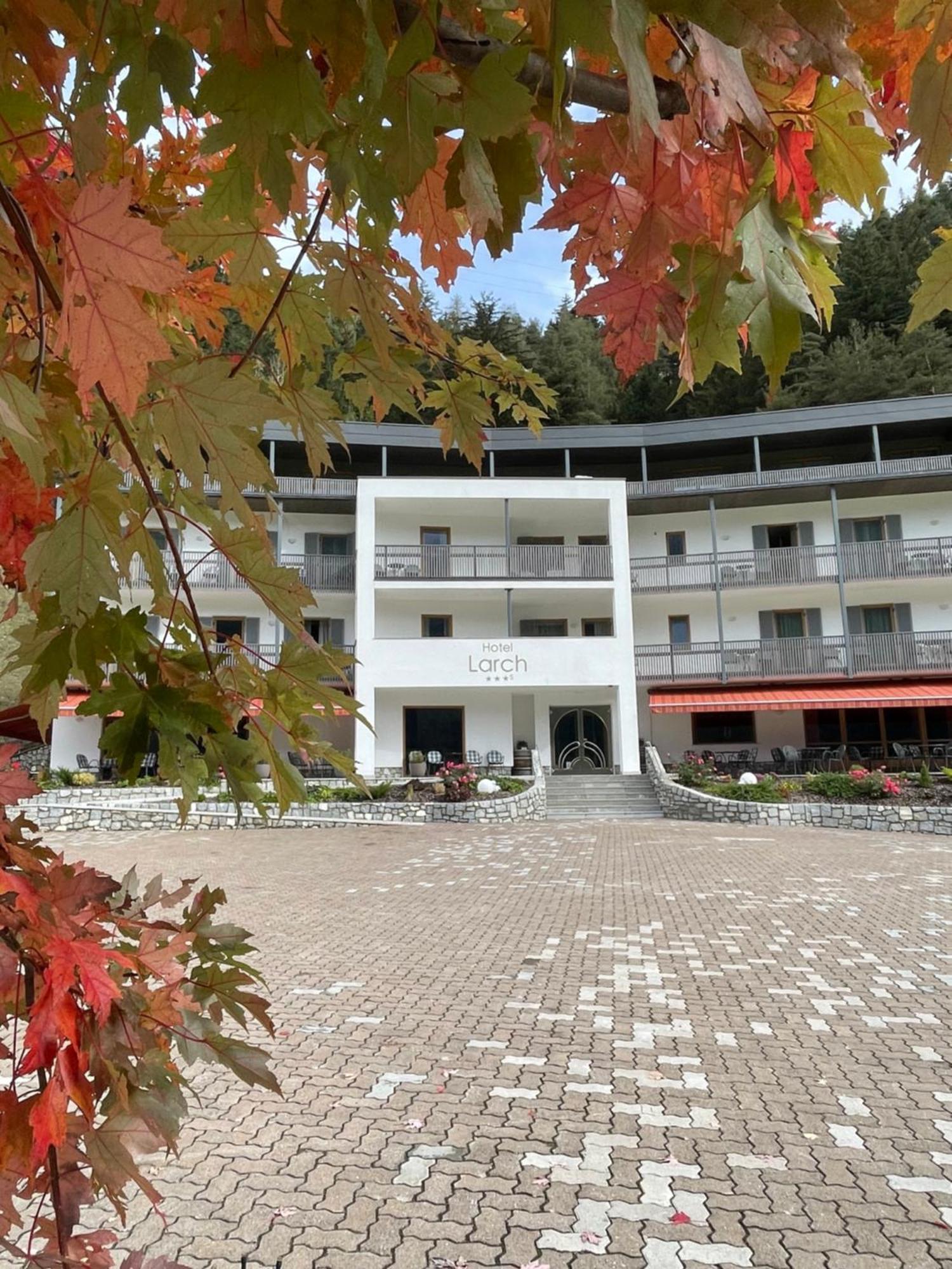 קאמפו די טרנס Hotel Larch מראה חיצוני תמונה